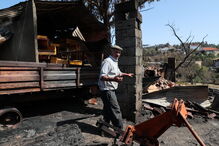 Idoso foge em cuecas para escapar a fogo na aldeia de Mação 