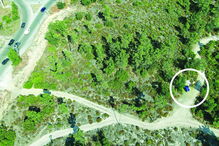 Perto de 20 mulheres passam o dia na reta de Coina à espera de clientes