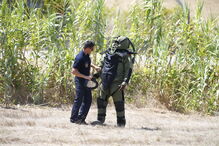 Encontrados engenhos explosivos em caixote de lixo em Coina 