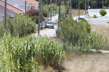 Encontrados engenhos explosivos em caixote de lixo em Coina