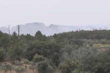 Incêndio em Castelo Branco