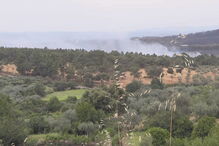 Incêndio em Castelo Branco