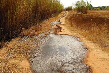 Esgoto espalhou-se pelos terrenos da ria Formosa 