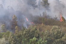 Incêndio em Pêro Viseu, Fundão, em Castelo Branco 