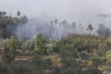 Incêndio em Pêro Viseu, Fundão, em Castelo Branco 