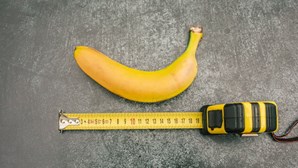 Qual o tamanho ideal do pénis? Estudo revela resposta das mulheres