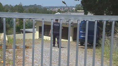 PSP apreende uma tonelada de plantas e folhas de canábis em buscas em Matosinhos e Maia