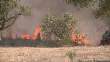 Fogo em Aljezur com sete meios aéreos obriga à retirada de moradores 