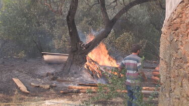 Sexo conta como cardio? As perguntas mais pesquisadas na Internet em 2019