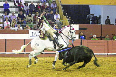 João Moura Júnior homenageia Xeque-Mate 