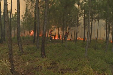 Incêndio perto de aldeias nos concelhos vizinhos de Vila de Rei e Sertã
