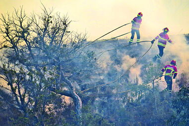 Incêndio de Aljezur mobilizou um total de 250 operacionais e oito meios aéreos, sendo dominado ao fim de seis horas