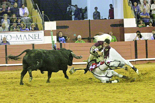O incidente de João Moura Júnior, que resultou no abate do cavalo Xeque-Mate, gerou uma onda antitouradas nas redes sociais que deverá acabar na Justiça 