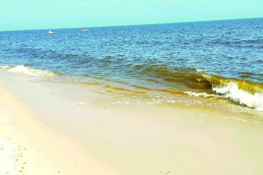 Algas voltam a deixar água das praias do Algarve de cor vermelha 