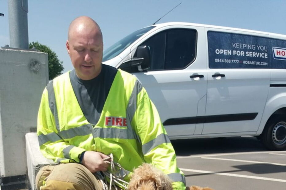 salvamento de Bertie