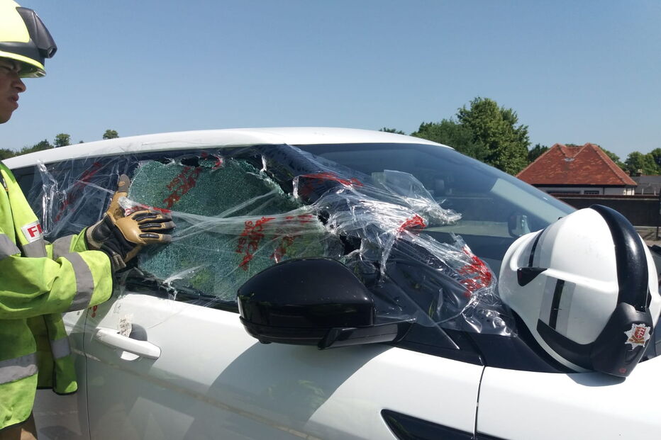 salvamento de Bertie