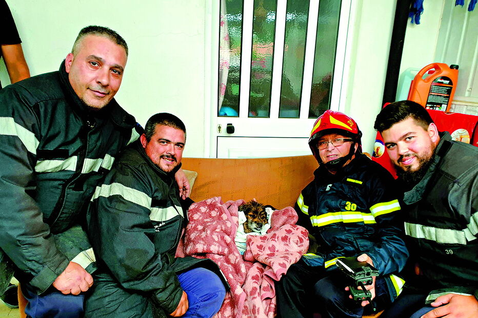 Comandante Fernando Oliveira, de capacete, com a restante equipa dos bombeiros de Lourosa que foi ao local 