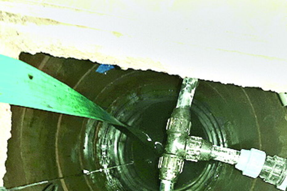 Cão caiu a um poço com seis metros de profundidade