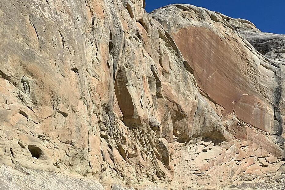 Filipa Brandão, Cédric Soares