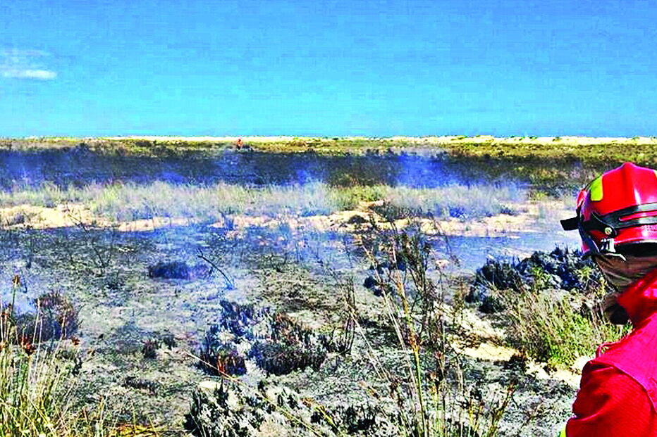 Detido provocou um incêndio florestal, em 2016, e ainda estava a cumprir os cinco anos de pena suspensa       