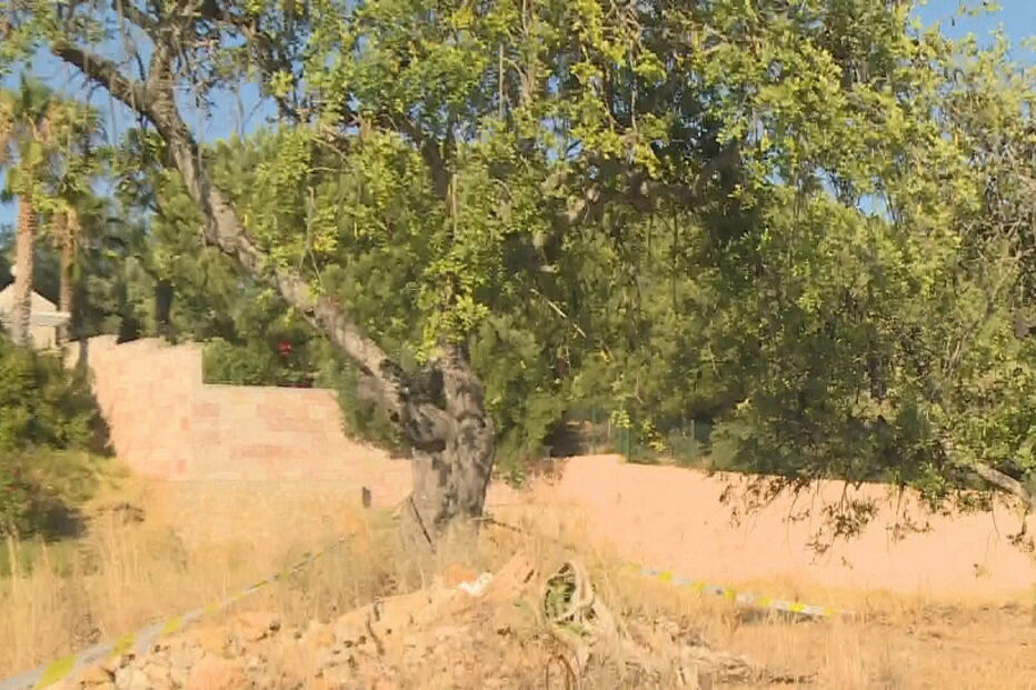 Chamas consomem habitação em Olhão