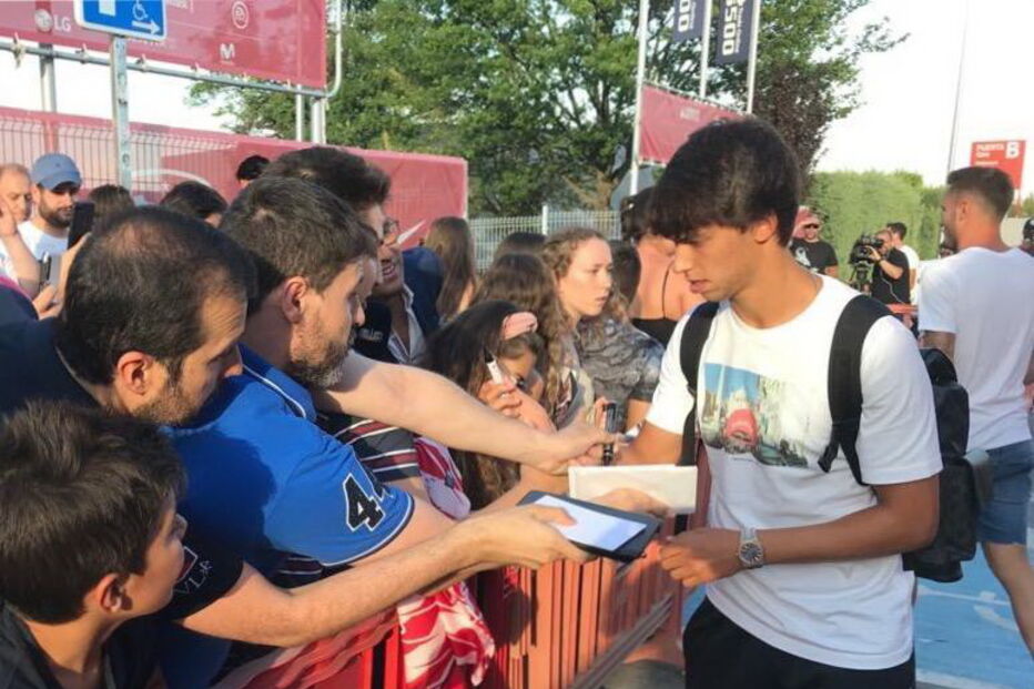 João Félix assinou os primeiros autógrafos, no dia em que integrou o estágio do Atlético de Madrid 