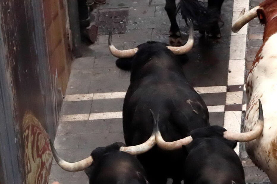 largada de touros em Espanha