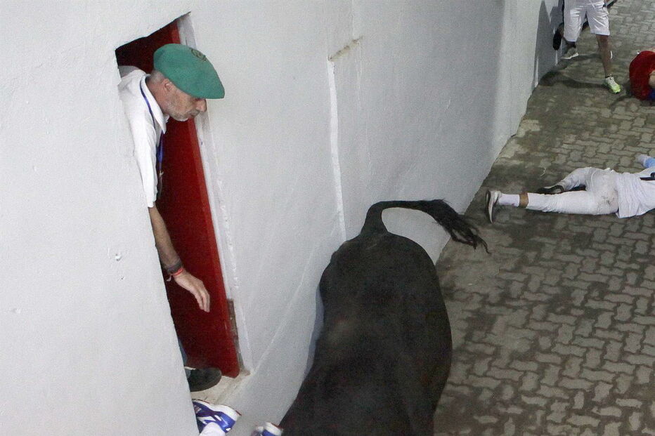 largada de touros em Espanha