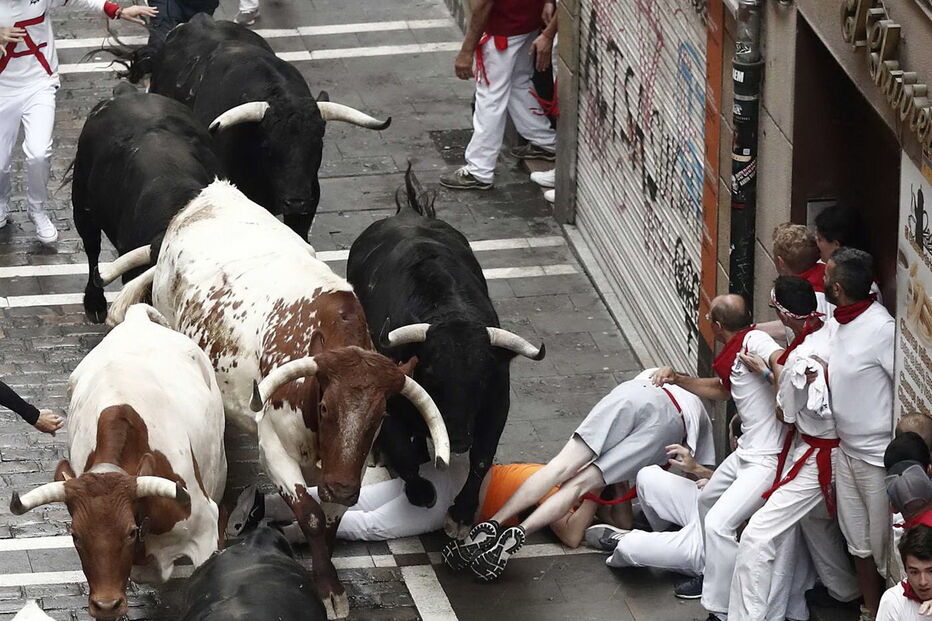 largada de touros em Espanha