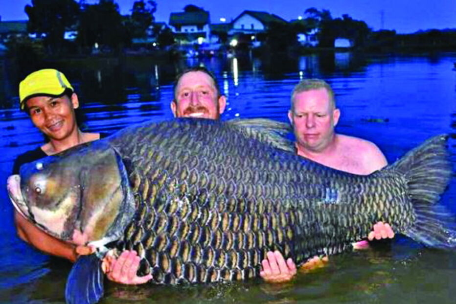 Britânico pesca carpa de 105 quilos na Tailândia