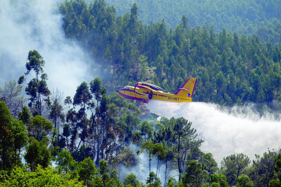 Oito meios aéreos e quase 300 operacionais foram mobilizados para combaterem as chamas