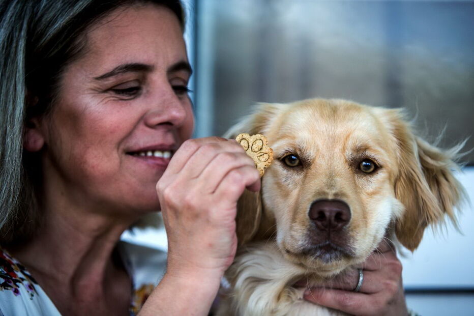 Doença de cadela inspira pequeno negócio de biscoitos nos Açores 