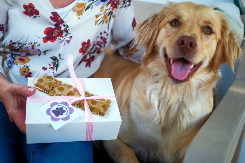 Doença de cadela inspira pequeno negócio de biscoitos nos Açores 