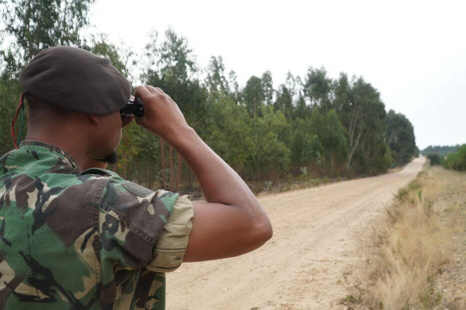 Exercito e Marinha enviam patrulhas em missão de vigilância florestal 
