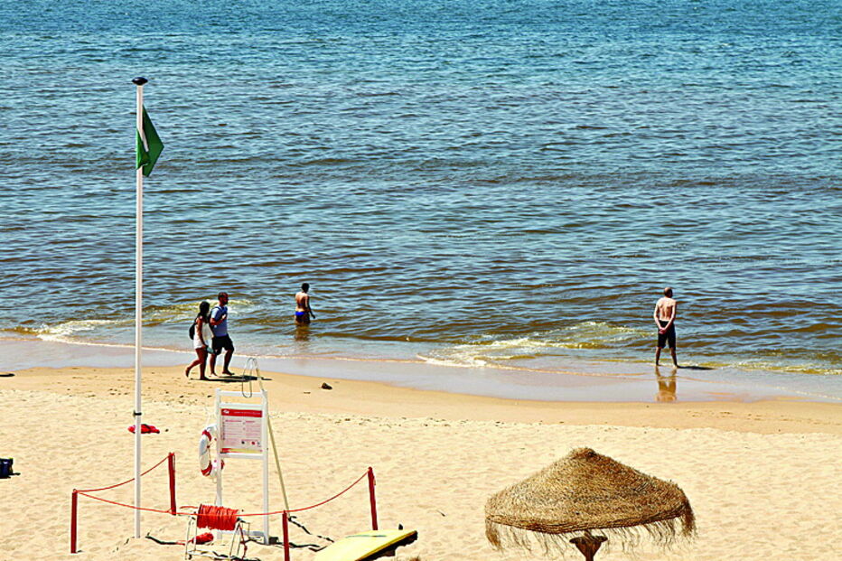 Algas voltam a deixar água das praias do Algarve de cor vermelha 