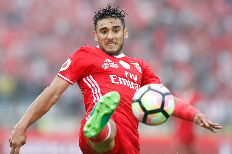Salvio