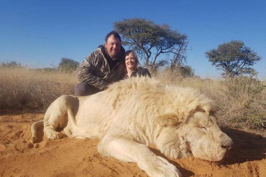 Matam leão e posam aos beijos junto ao animal