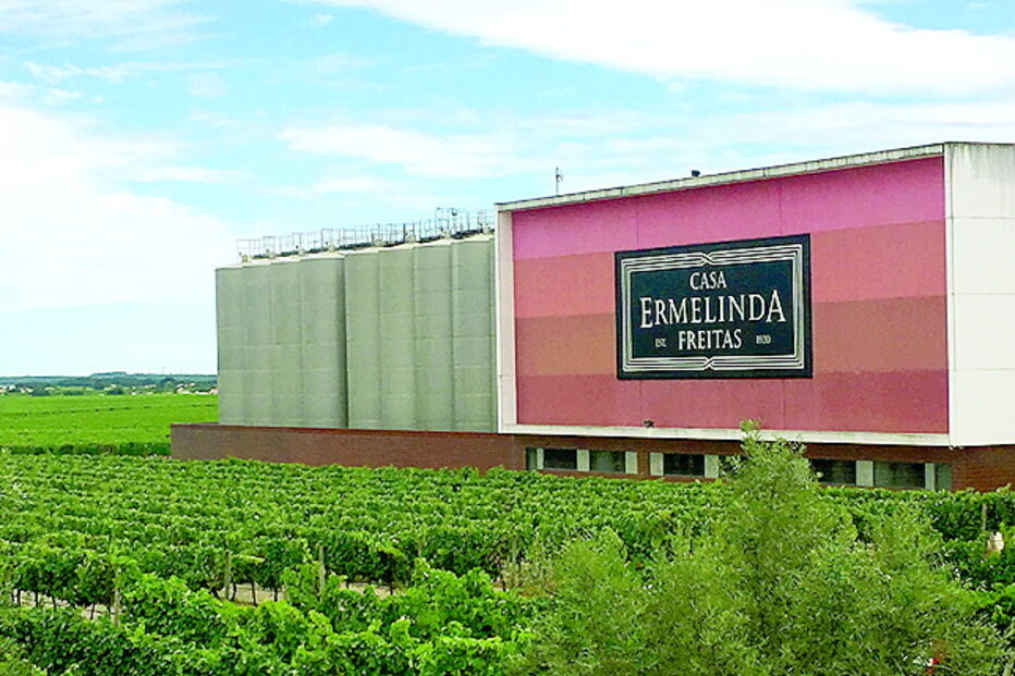 Casa Ermelinda Freitas