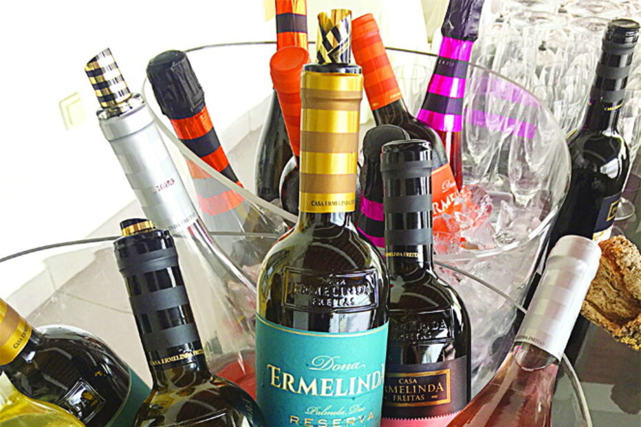 Casa Ermelinda Freitas