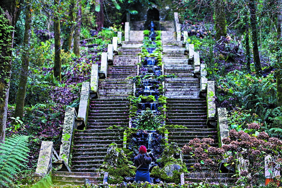 Mata do Bussaco