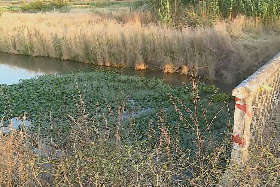 Corpo de homem encontrado no rio Lis na Marinha Grande