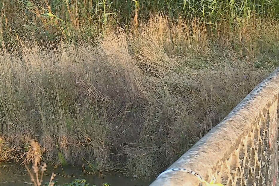 Corpo de homem encontrado no rio Lis na Marinha Grande