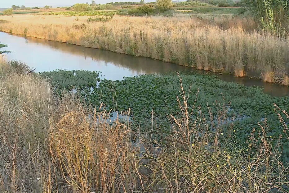 Corpo de homem encontrado no rio Lis na Marinha Grande