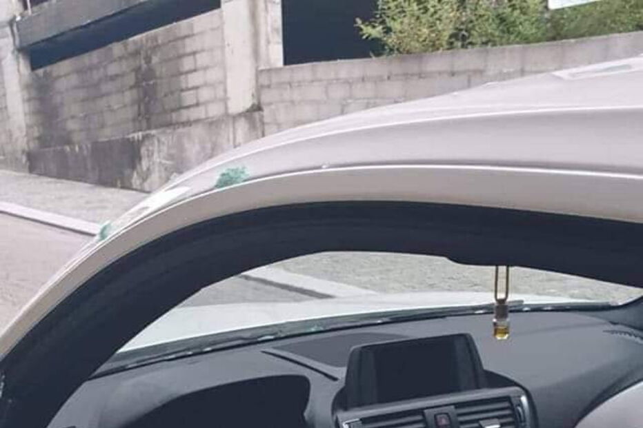 2019-07-18_14_37_15 gaia4.jpg.jpeg