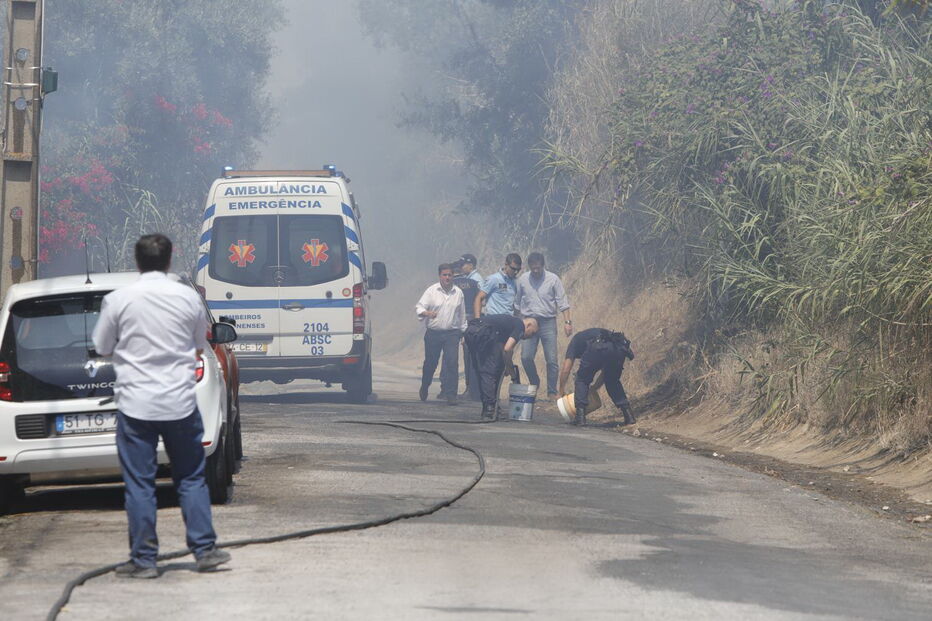 Incêndio junto a habitações em Carnide