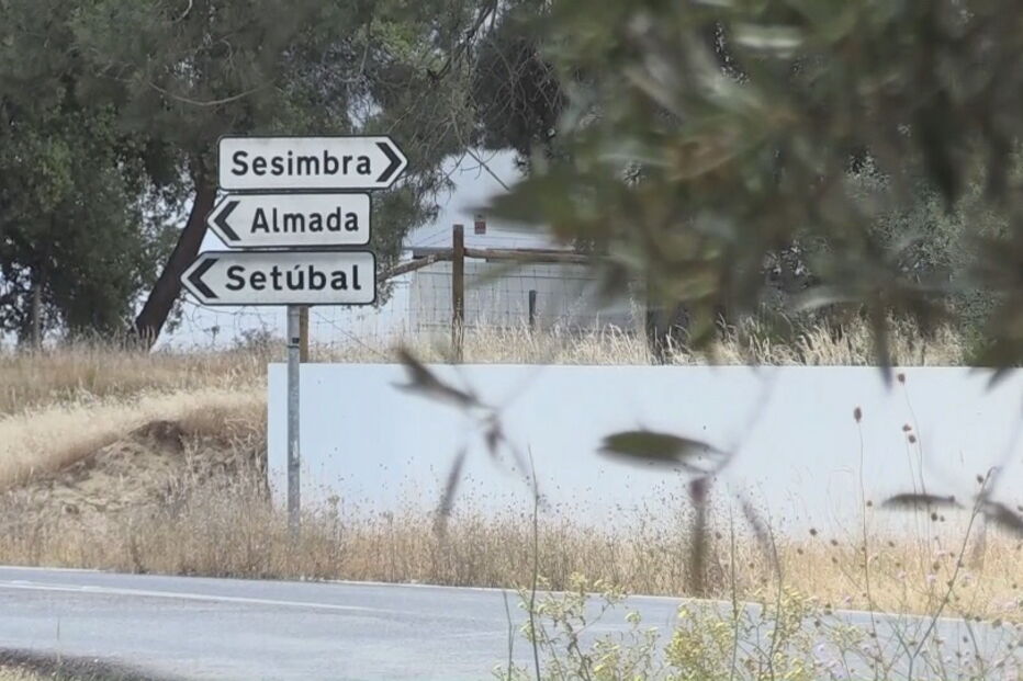 Cães da GNR especializados em sentir odor a cadáver procuram desaparecido João Marinho