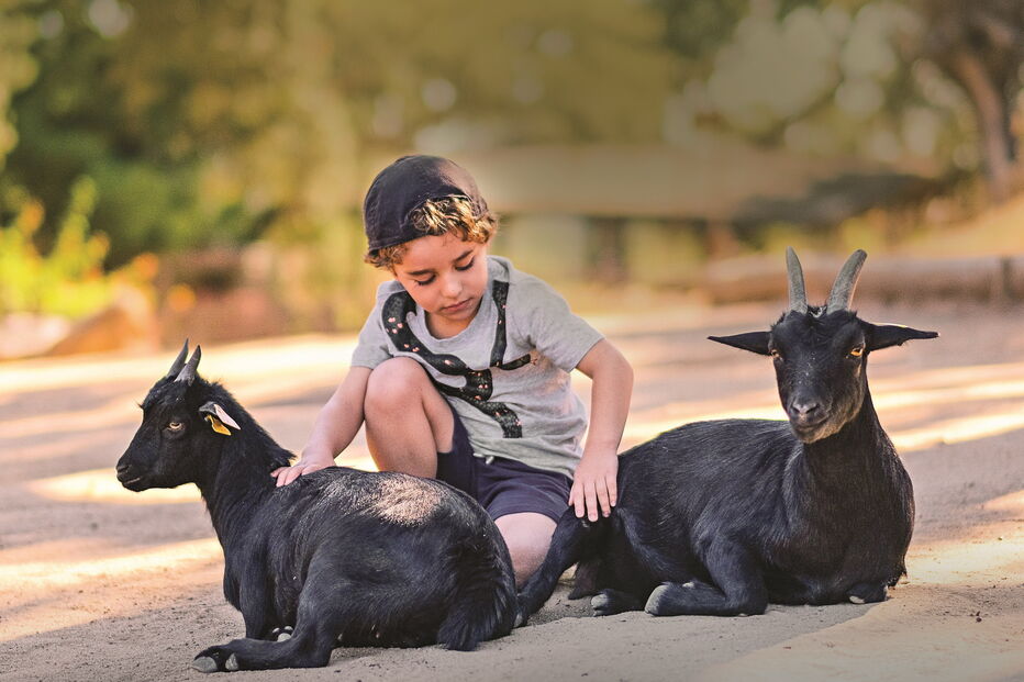 Monte Selvagem em Montemor-o-Novo