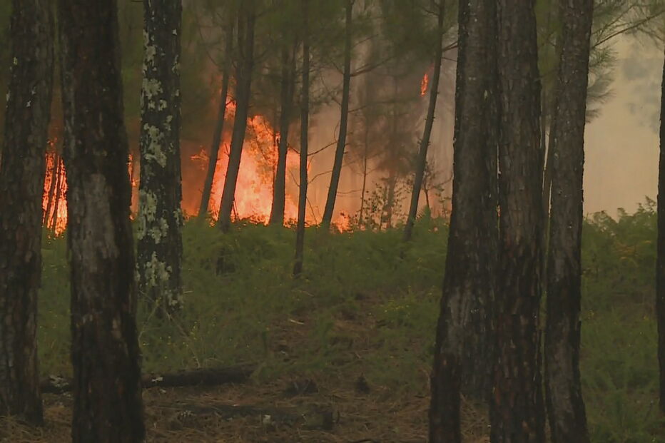 Incêndio perto de aldeias nos concelhos vizinhos de Vila de Rei e Sertã
