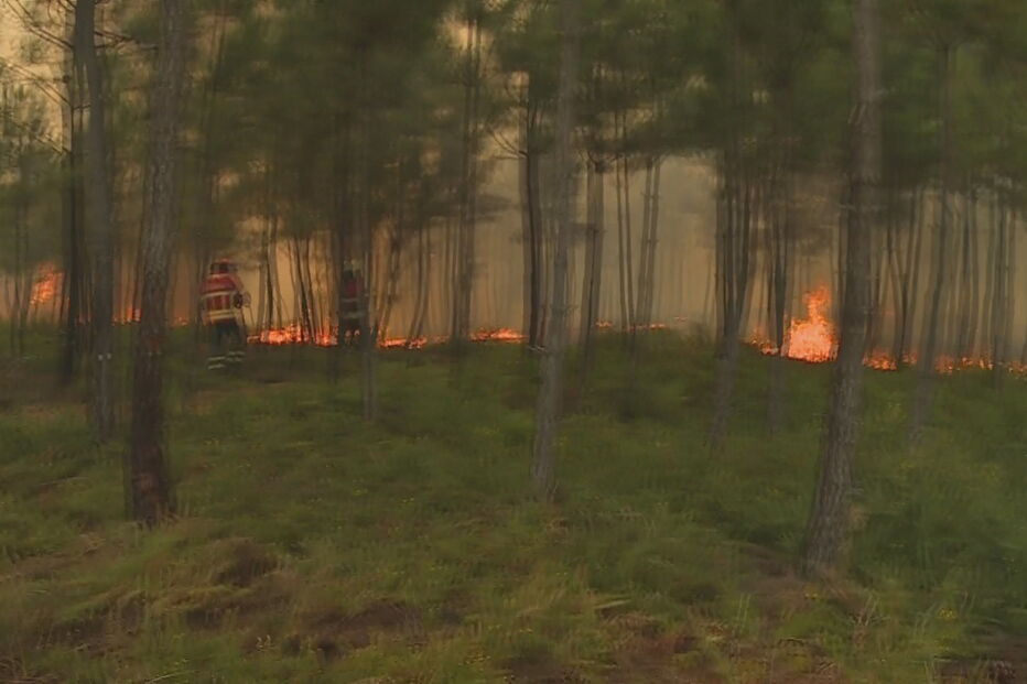 Incêndio perto de aldeias nos concelhos vizinhos de Vila de Rei e Sertã