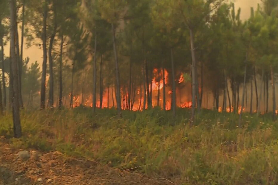 Incêndio perto de aldeias nos concelhos vizinhos de Vila de Rei e Sertã